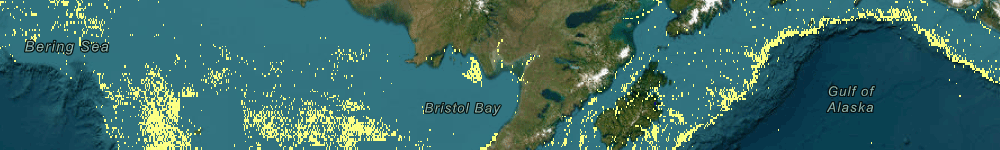 Global Fishing Watch