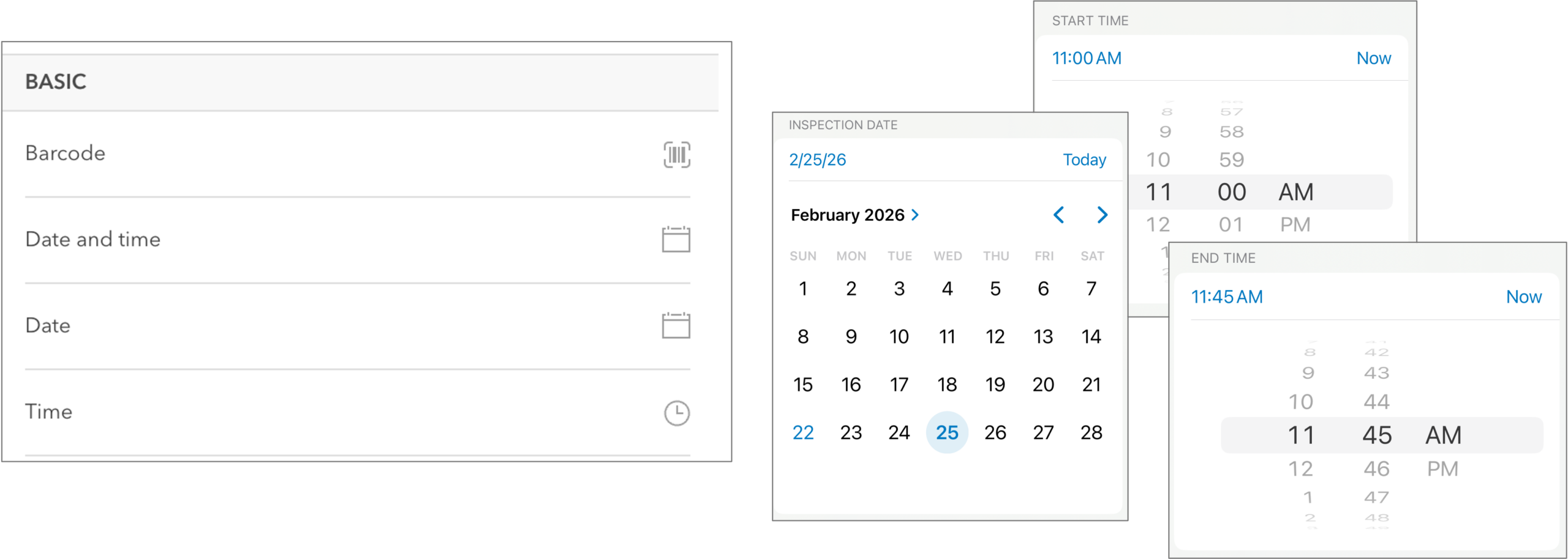Strengthen inspection capture using Date only and Time only form elements.