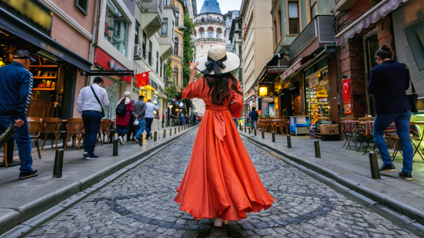 ArcGIS Blog - Where On Earth Does the ArcGIS Geocoding Service Reach?