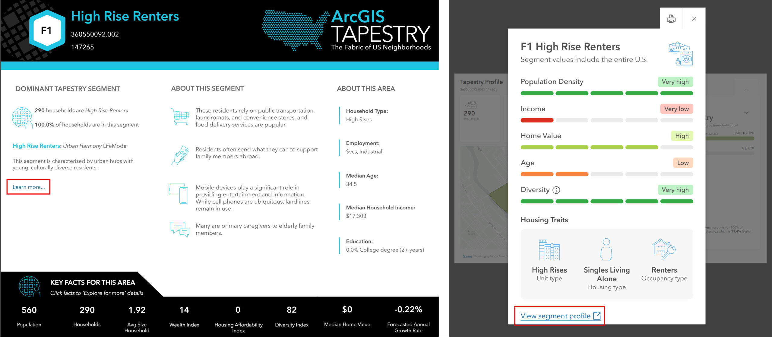 Dominant Tapestry Segment infographic profile (left) and Tapestry Profile infographic (right).
