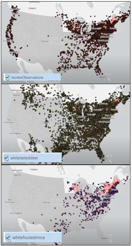 maps of tick observations, whitetailed deer observations, and mouse observations
