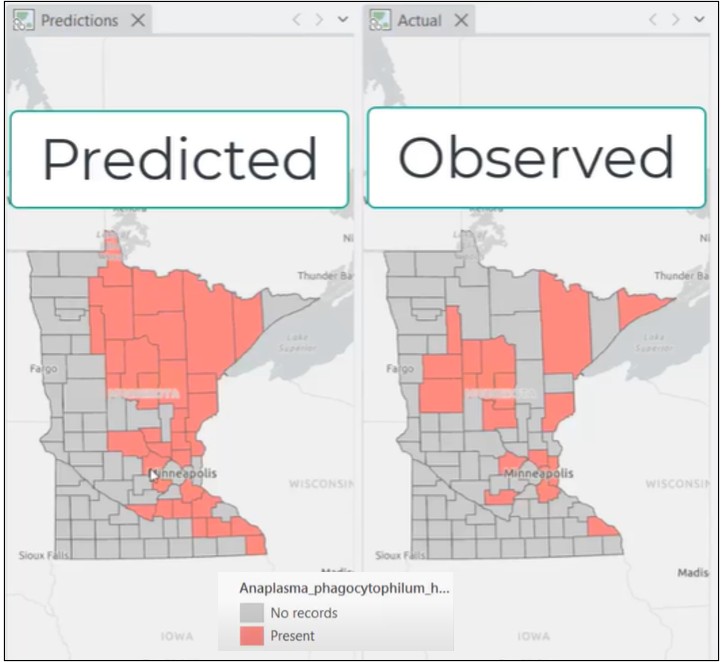 side by side maps showing the new predictions lining up better with observed disease counties