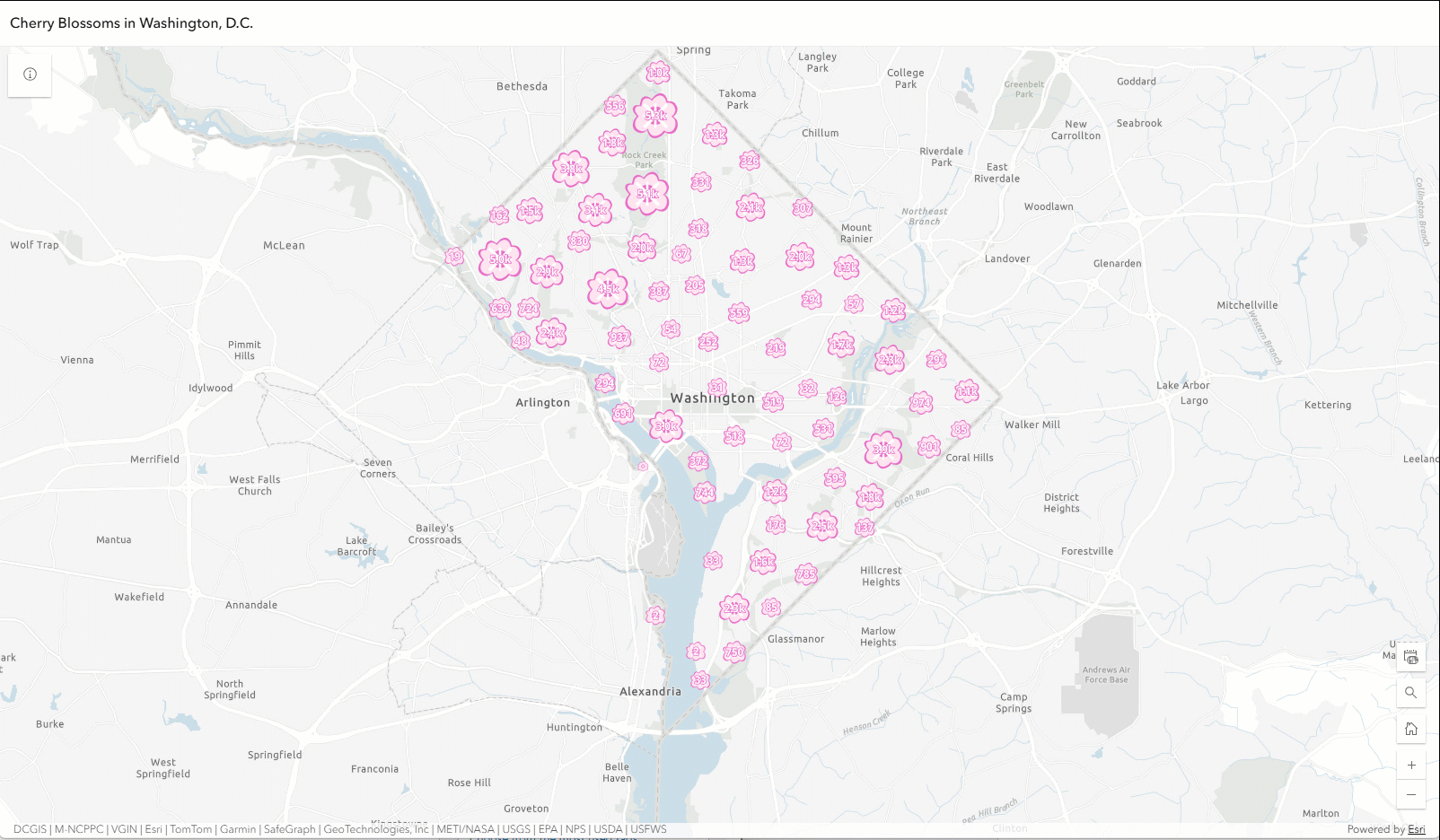 Animated map of cherry blossom trees in D.C., built in ArcGIS Online and Map Viewer