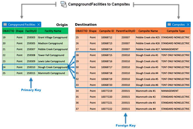 This is an example of a one-to-many (1:M) relationship class. The relationship is between the origin (Campground Facilities) to the destination (Campsites).