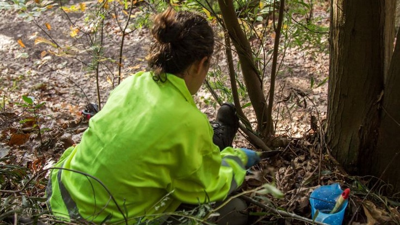 Take control of invasive vegetation with the Invasive Vegetation Management solution