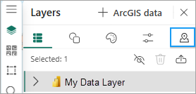 Layers pane with Location type tab visible in ArcGIS for Power BI.