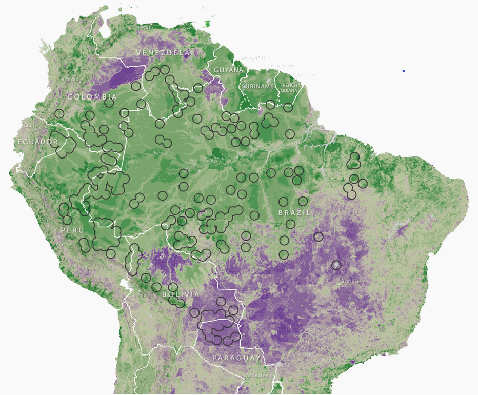 A map of the Biodiversity Intactness Index with dark green as most intact