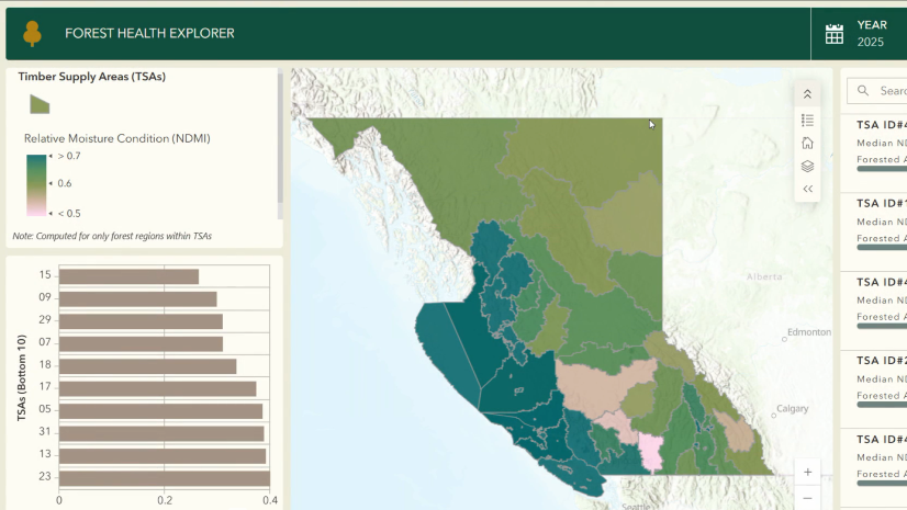 ArcGIS Blog - Scalable raster analytics in ArcGIS Enterprise