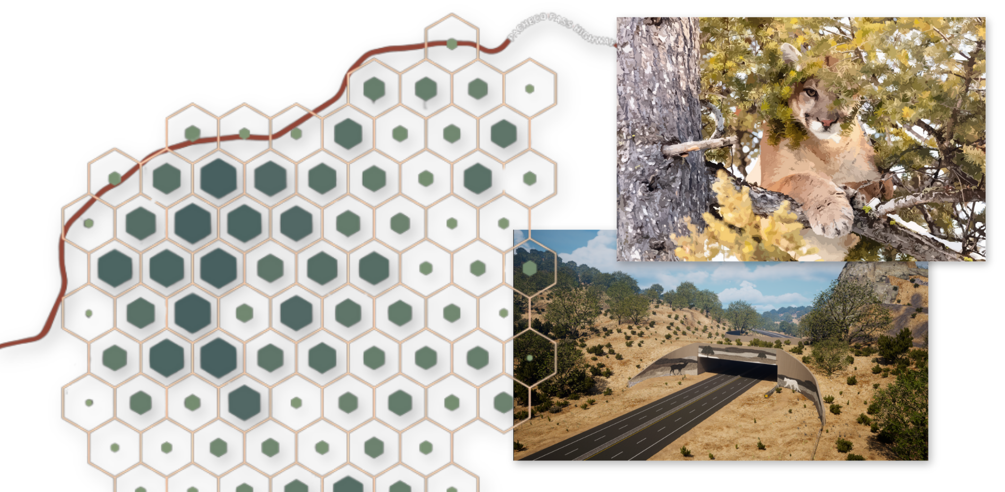 Graphic of images and a map from the winning story.