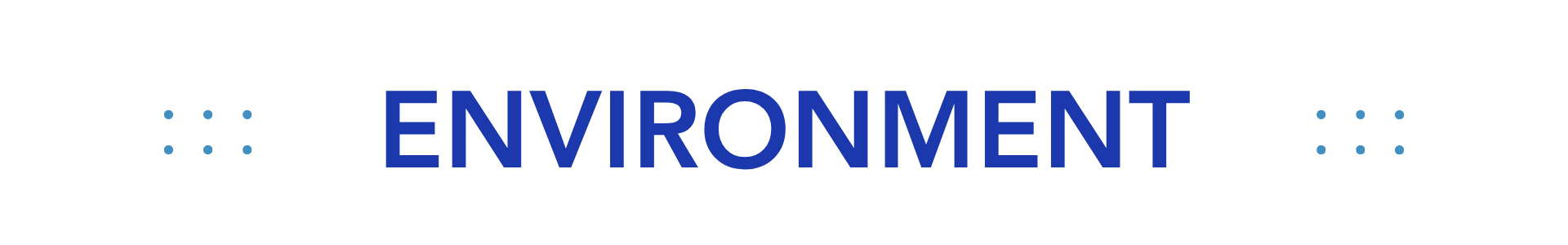 Graphic separator for Environment category.