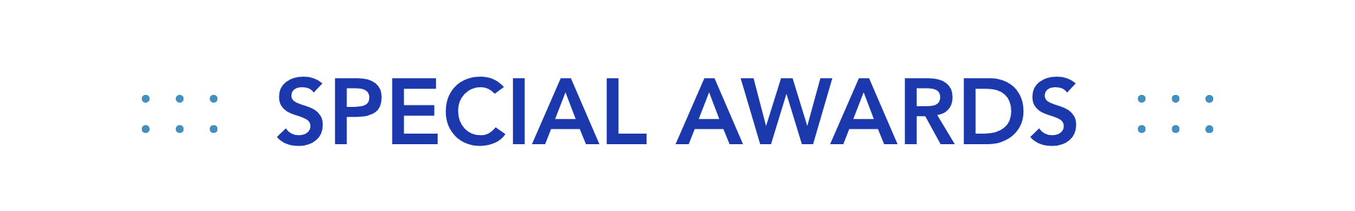 Graphic separator for Special Awards category.