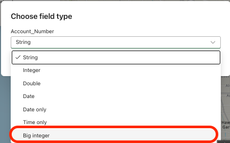Image showing the selection of 'big integer' from the drop down