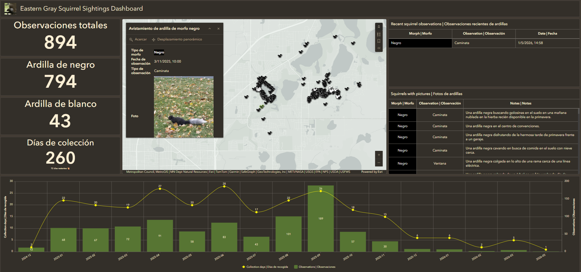 An ArcGIS Dashboard featuring Eastern Gray Squirrels in the Spanish locale showcasing one dashboard while supporting more audiences.
