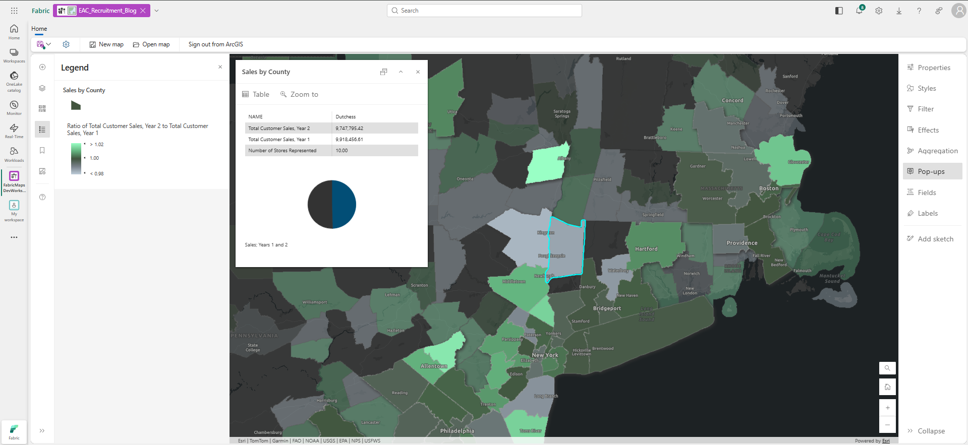 ArcGIS Maps for Fabric Advanced Visualizations