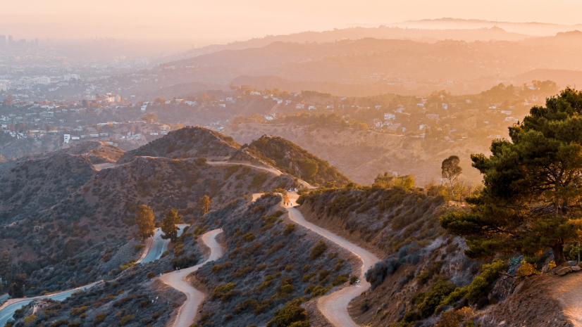 More Than One Way to Search