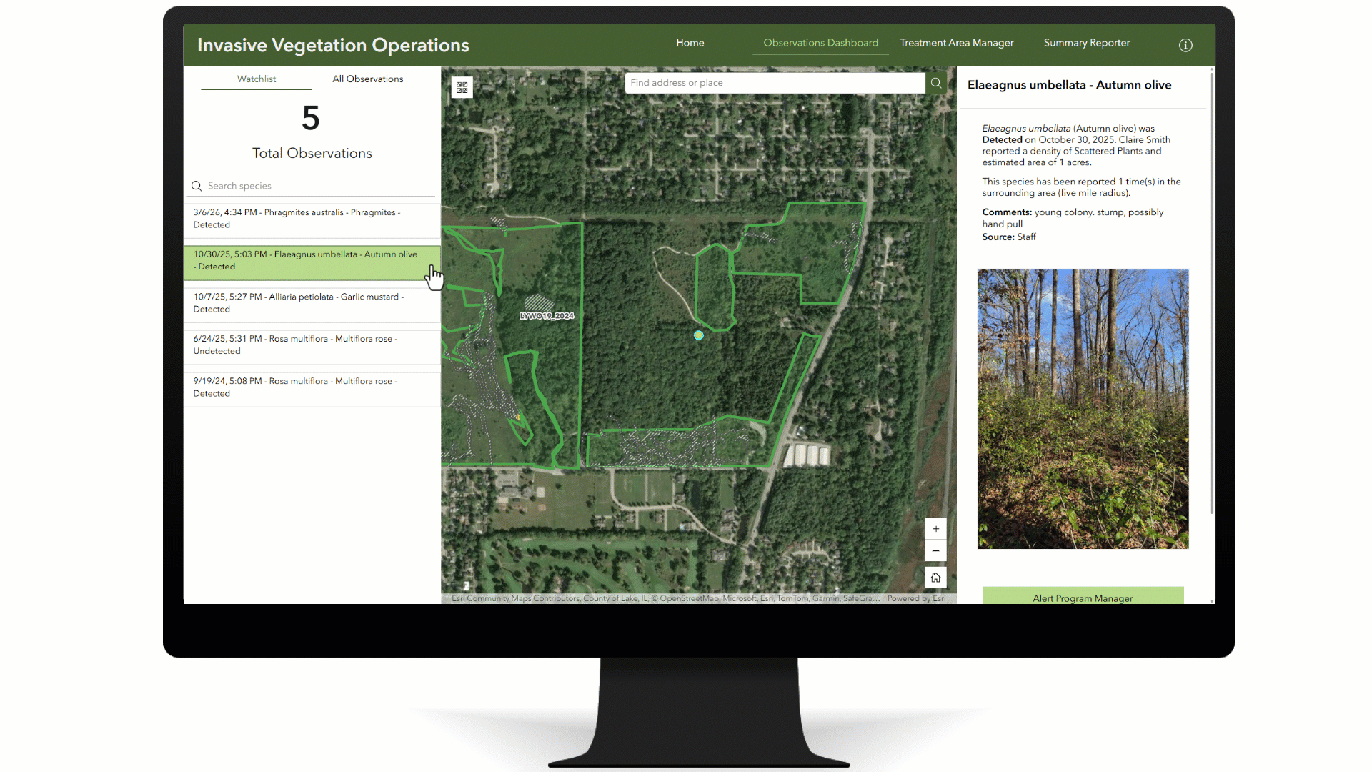 hort animation showing the Invasive Vegetation Operations Center Experience Builder app. The user selects an observation and creates a target area around it.