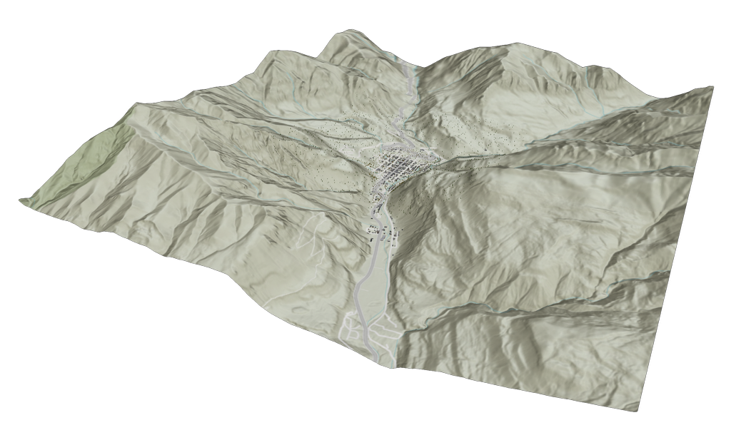 Local scene overview