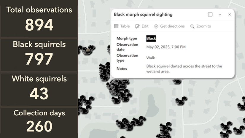 ArcGIS Blog - Part 1: Increasing Accessibility and Internationalization in your ArcGIS Apps