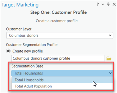Choosing a segmentation base