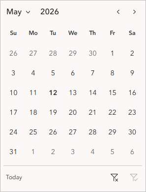 A screenshot highlighting the Date Filter widget.