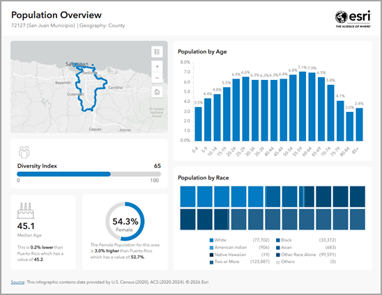 population overview infographic for new puerto rican demographic data