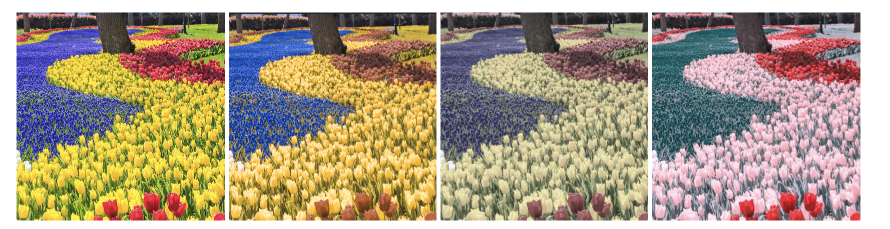 Four photos of the same field of flowers, the one on the left shows full color vision, the others show different types of color vision deficiency using software filters. The second from the left shows more blue and less green. The next shows all colors as less bright. The photo on the right shows blue as green and yellow as pink.