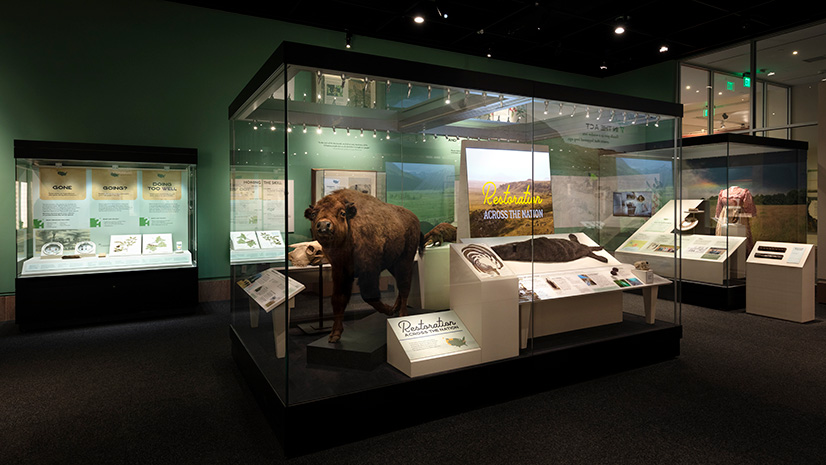 ArcGIS Blog - Discover Smithsonian’s From These Lands Exhibit