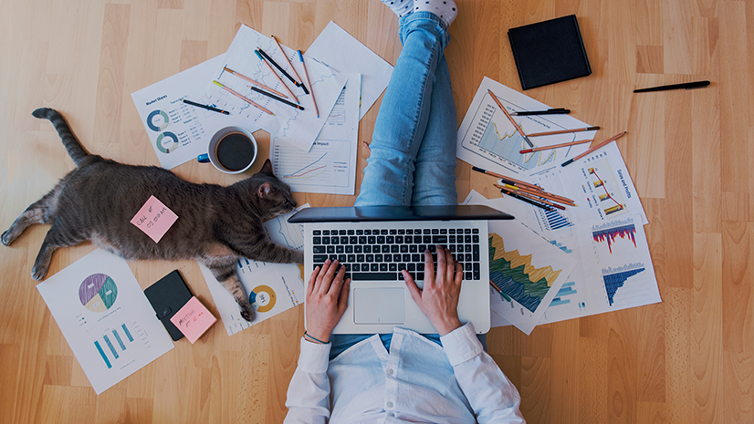 ArcGIS Blog - What’s new in ArcGIS StoryMaps (June 2026)