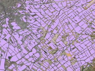 Polygons representing agricultural fields are shown in pink and swiped on over an imagery basemap.