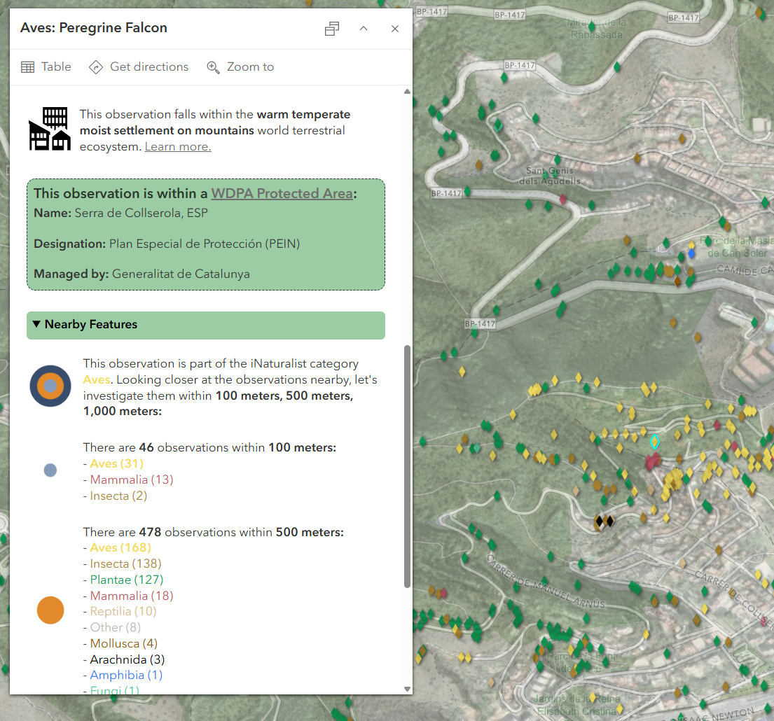 Map showing the iNaturalist pop-up with information about the nearby features and if the observation is in a protected area.