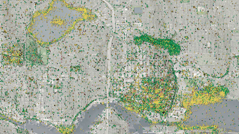 New iNaturalist Service Now Available in ArcGIS Living Atlas