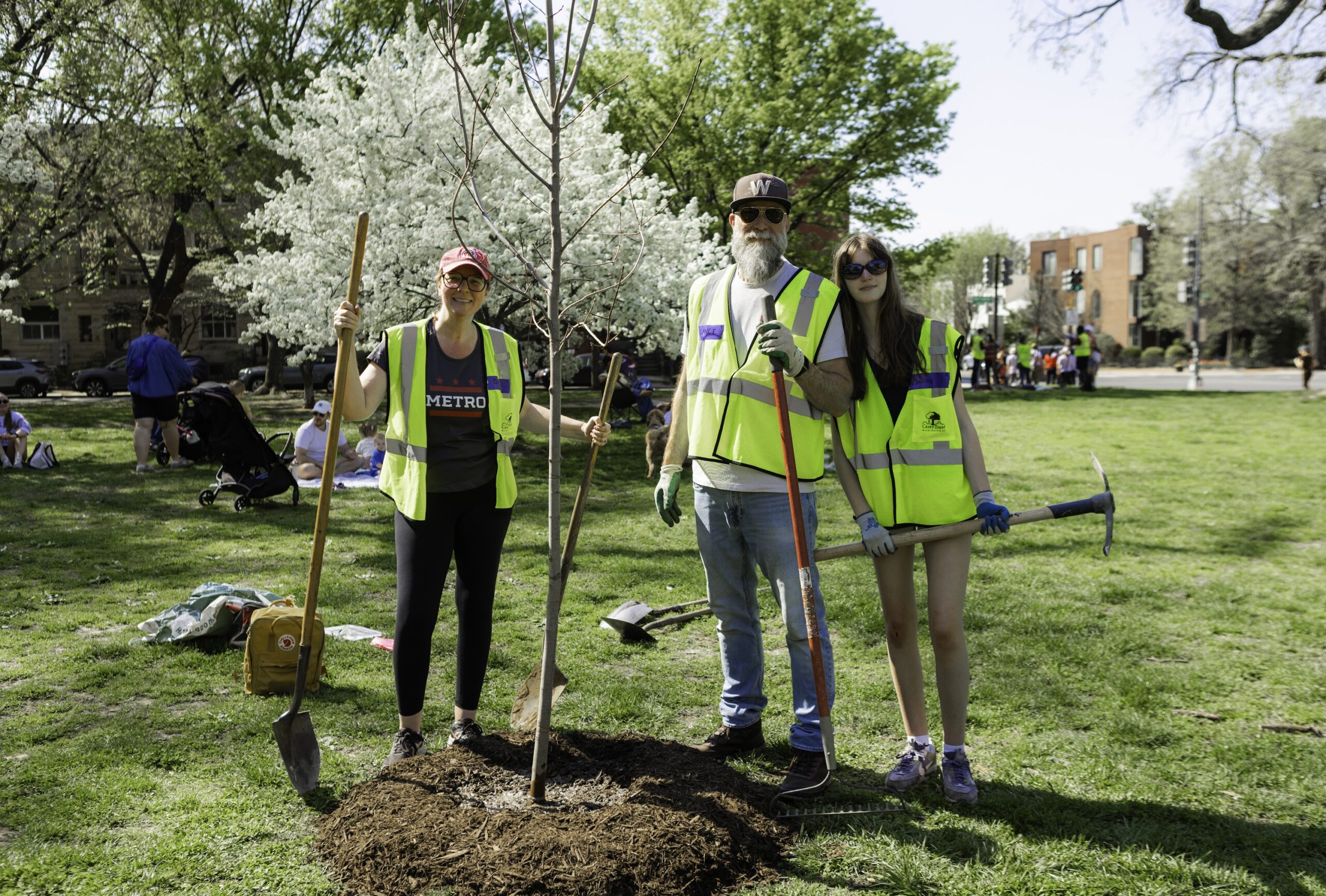 Casey Trees staff and volunteers planting trees through a variety of Casey Trees tree planting programs.