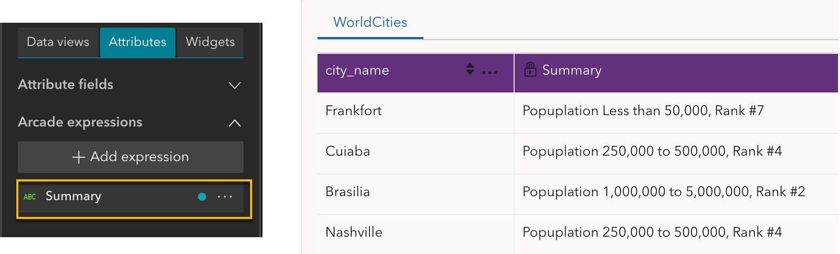 Display dynamic fields in the table