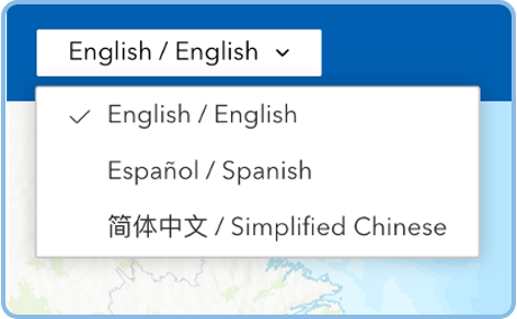 Language Switcher