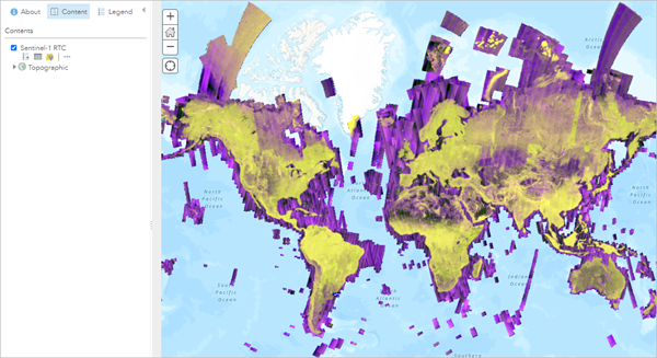 Sentinel-1 RTC imagery layer displayed over the default Topographic basemap.