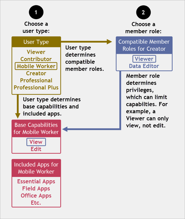 Diagram explaining the choice of user type and member role