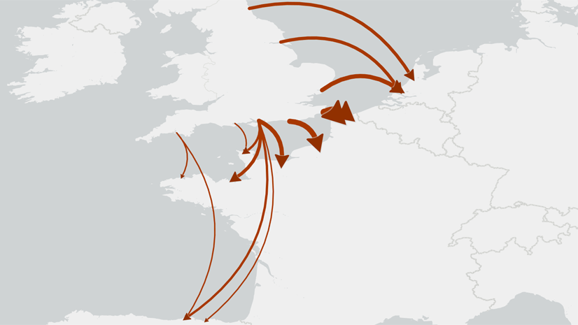 Flow Maps