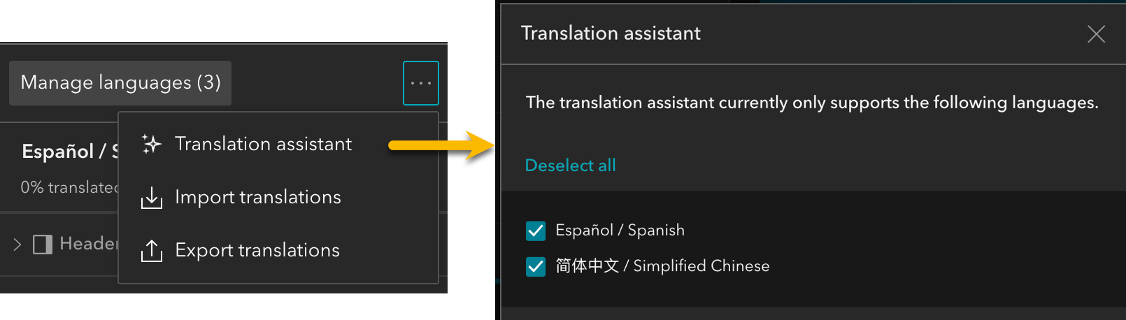 Translation assistant