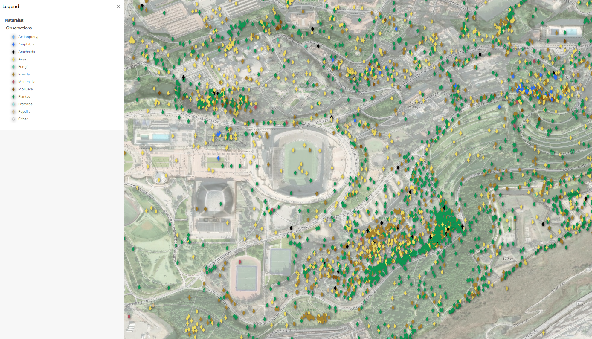A map showing the iNaturalist layer from Living Atlas with different Taxonomy Categories for the symbology.
