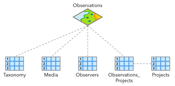 Diagram showing schema for iNaturalist service