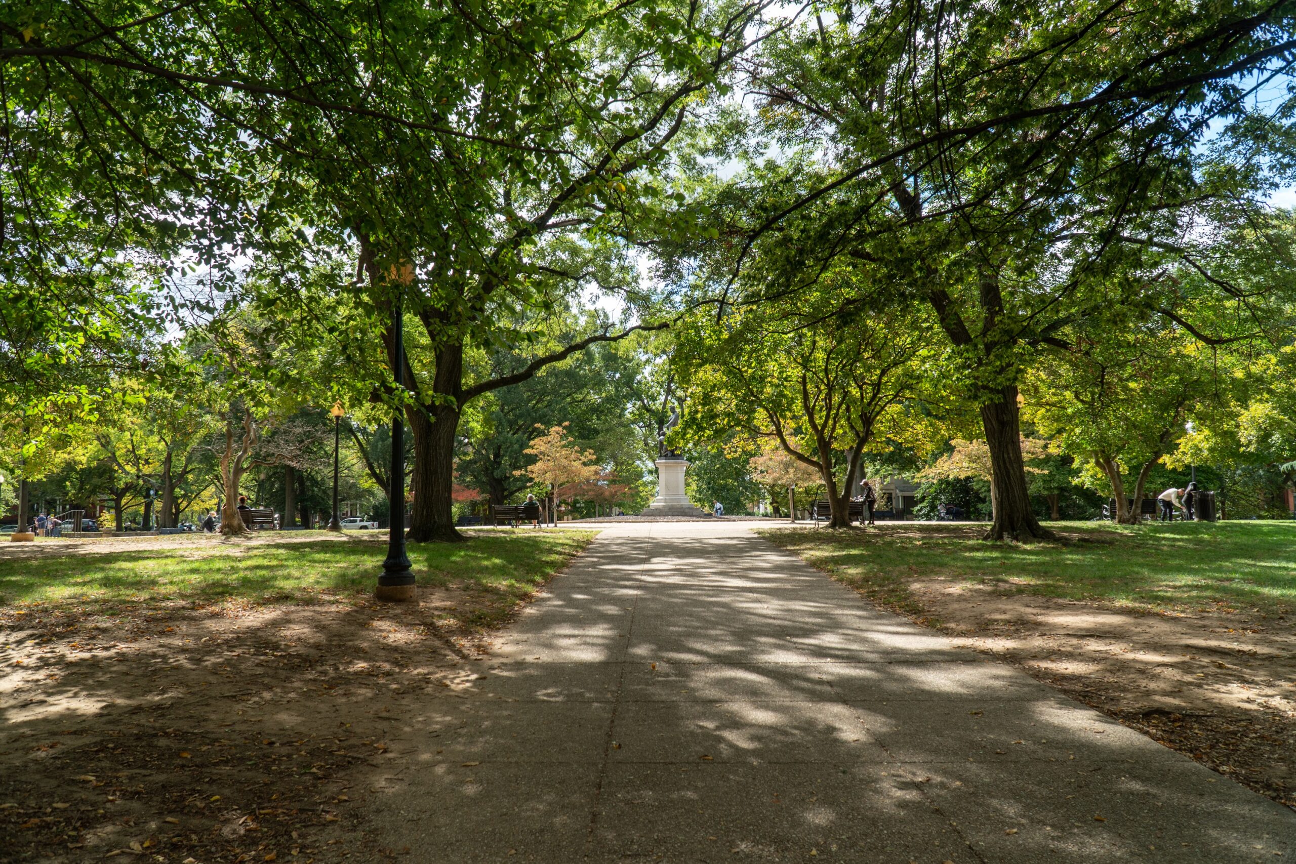 trees in Lincoln Park, Washington D.C