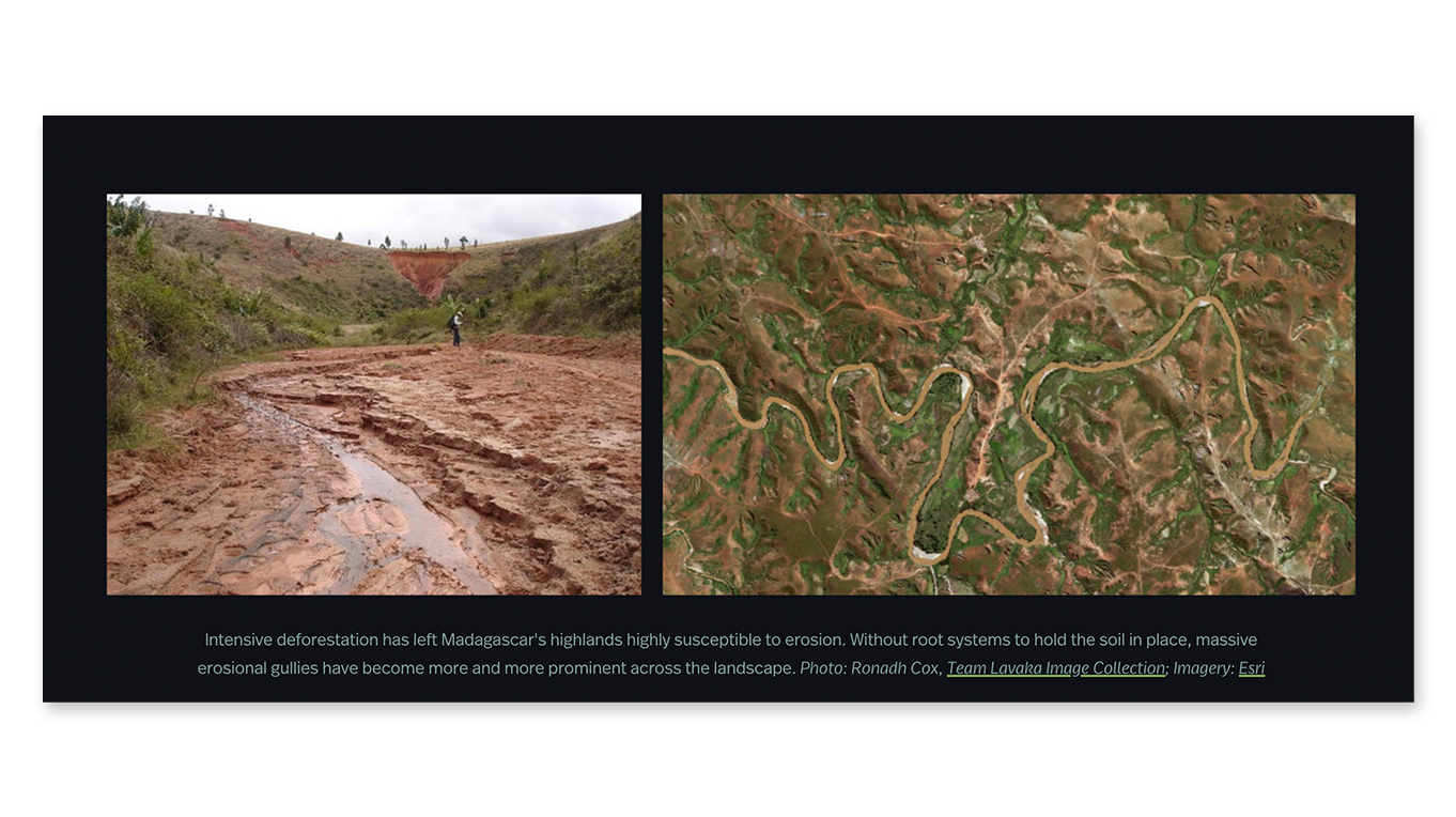 A screen shot of an image gallery showing deforestation. The image on the left depicts a muddy treeless landscape, the image on the right shows a satellite view of a clear cut area.