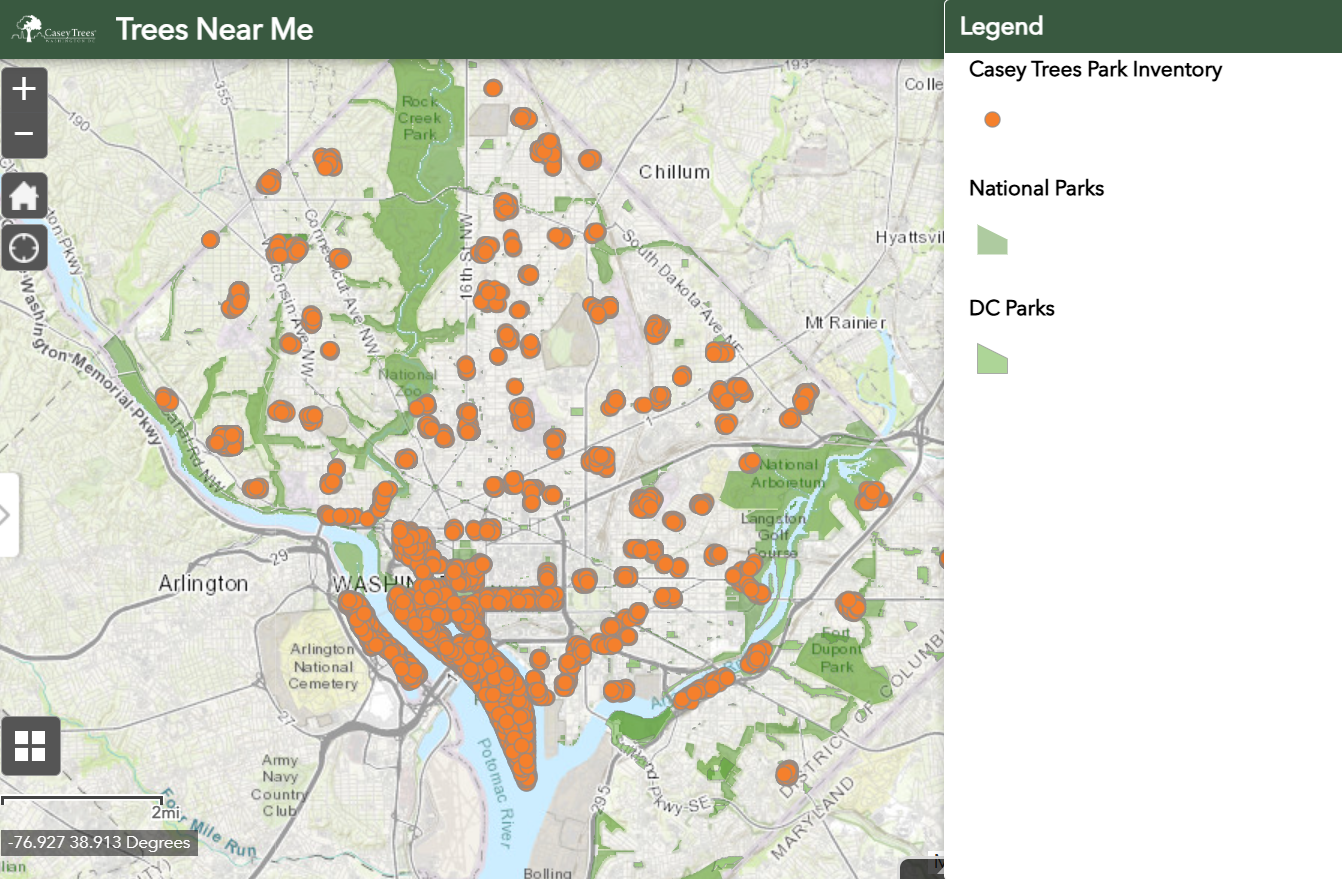 Mapping application that shows the location of trees planted within the Washington DC area