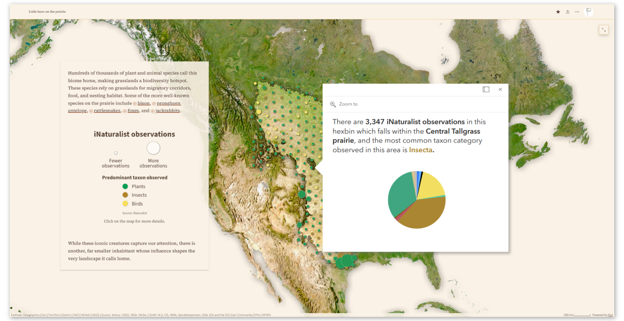A screenshot of a land-cover map of the United States, with proportional symbols overlaying the Great Plains region of the country. An active pop-up includes a description and pie chart of species observations in the selected area.