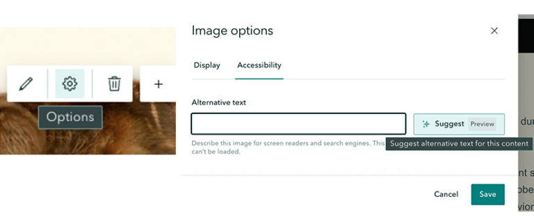Screengrab showing the media options menu to add alt text.