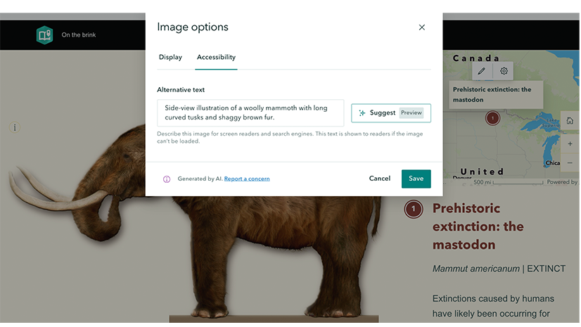 Screengrab showing the AI assistant's original suggestion for alt text.