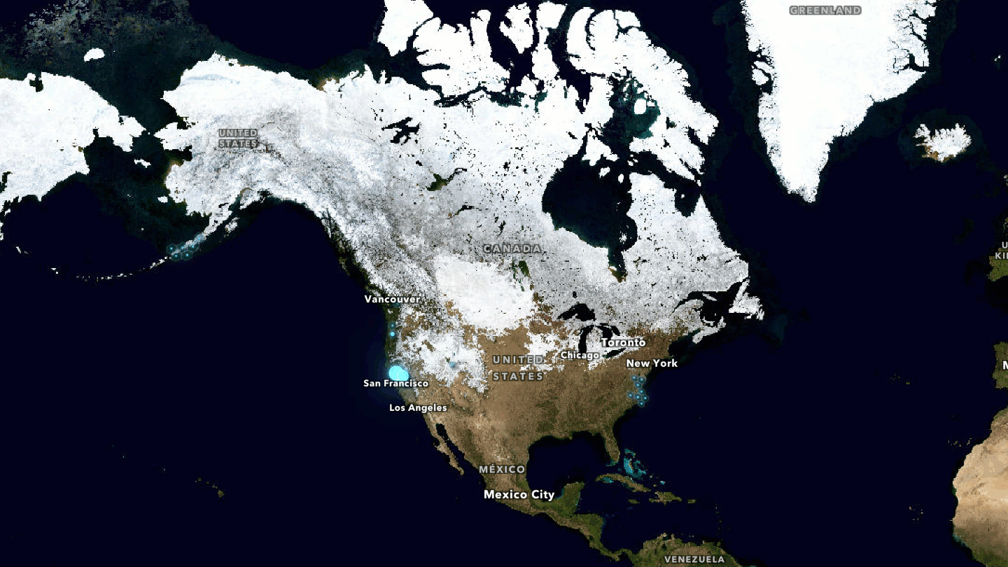 Animated map of North America displayed over NASA Blue Marble: Next Generation imagery showing seasonal land cover and snow extent. Semi-transparent blue hexagons represent aggregated Tundra Swan GPS observations, with larger and brighter hexagons indicating higher observation counts. The greatest concentration of activity is visible along the Pacific coast of California, with smaller clusters extending along the Pacific Northwest, Alaska's Aleutian Islands, and portions of the eastern United States. Extensive snow and ice cover is visible across Canada and Alaska.