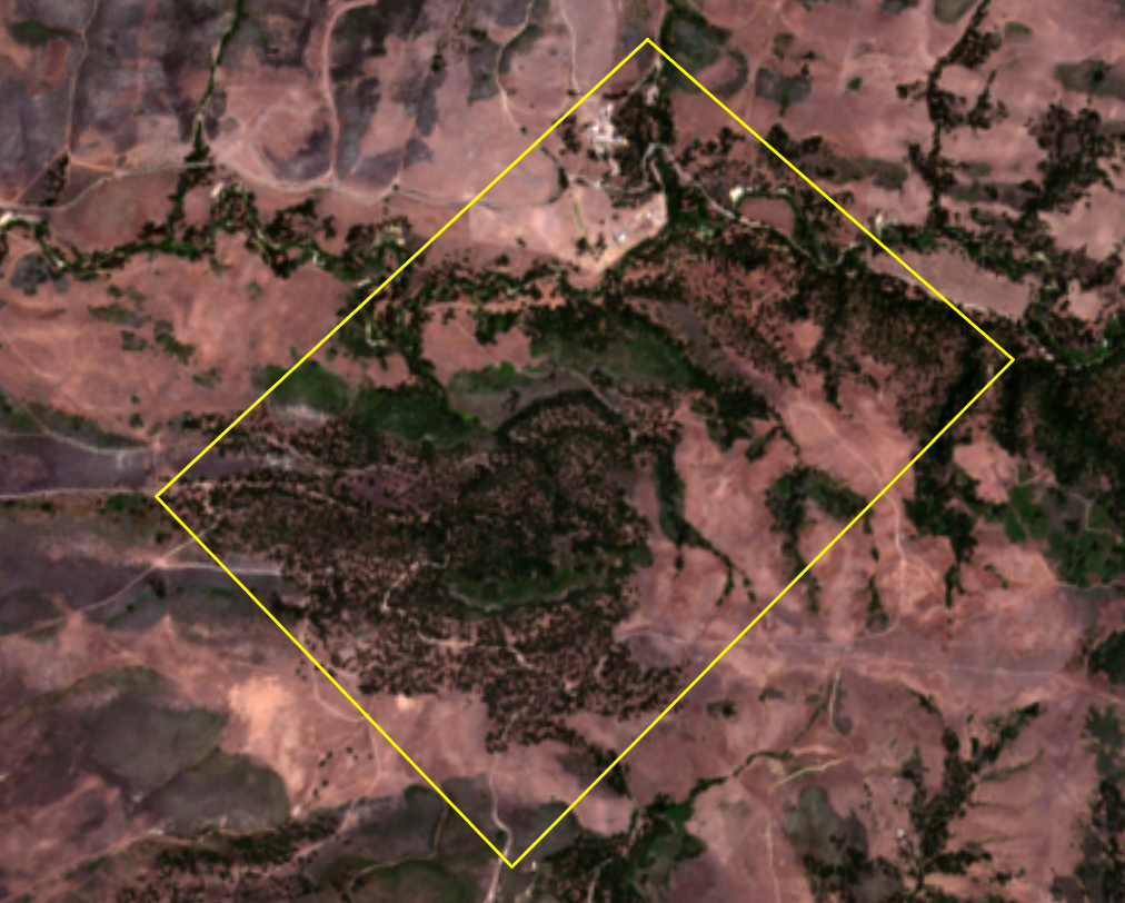 Preserve layer added to Sentinel imagery layer