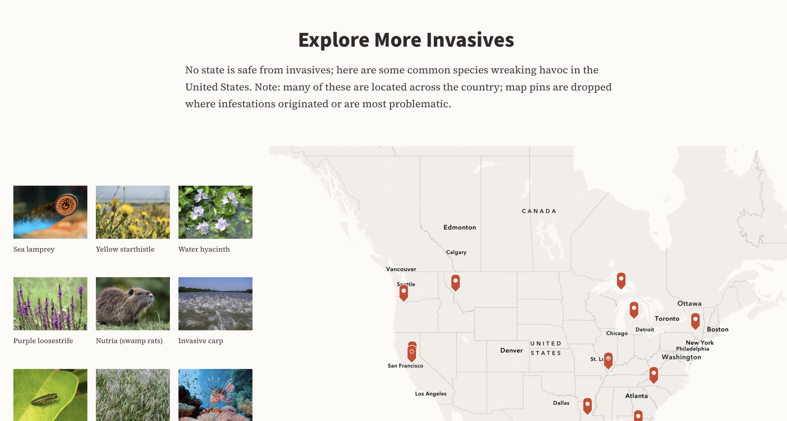 A screenshot from the story "What's that Bug," showing how inline text feeds into an explorer map tour block.