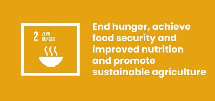 Figure: United Nations Sustainable Development Goal 2